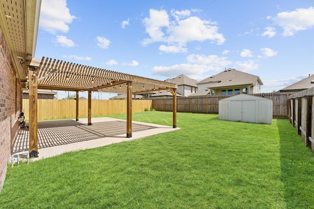 view of yard with a patio and a storage shed