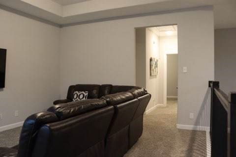 living room with carpet flooring and a tray ceiling