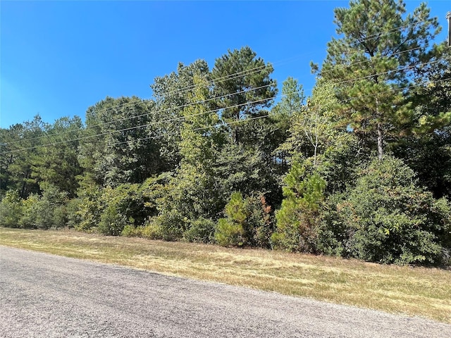 0 Grand Vw, Huntsville, TX 77340 - photo 1