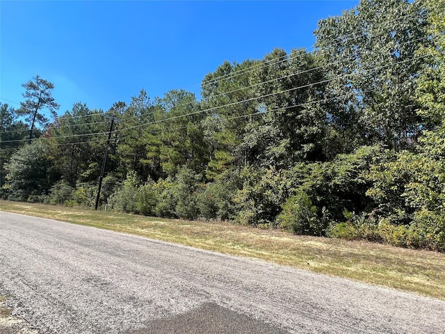 0 Grand Vw, Huntsville, TX 77340 - photo 4