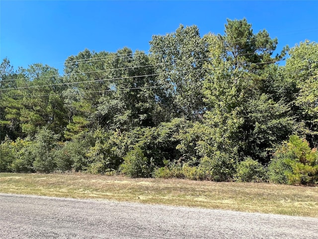 0 Grand Vw, Huntsville, TX 77340 - photo 6