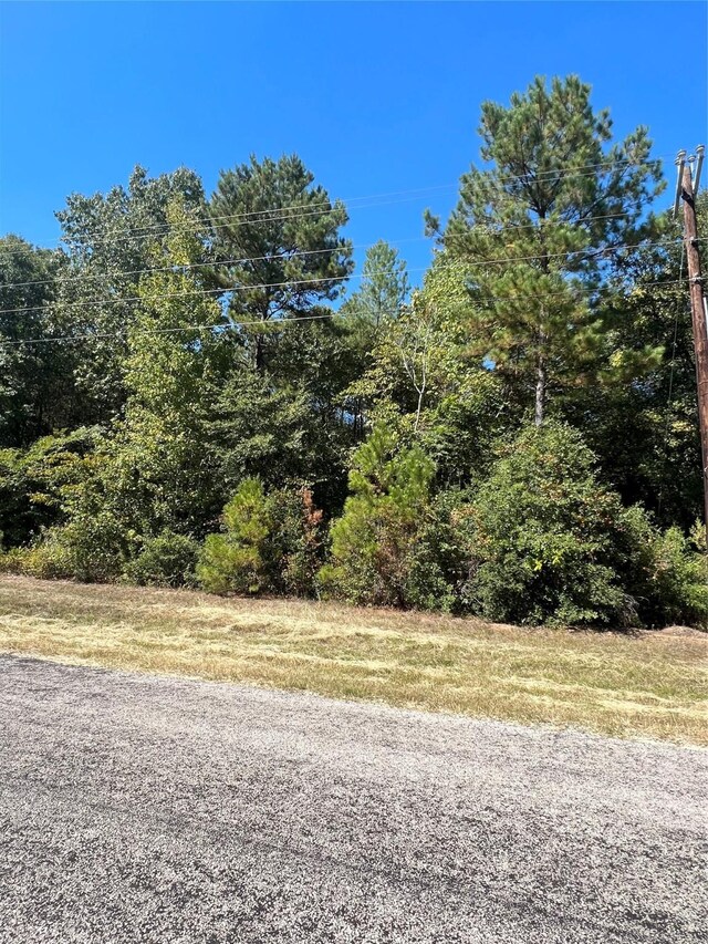 0 Grand Vw, Huntsville, TX 77340 - photo 9