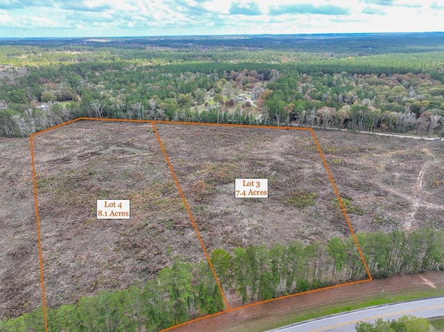 4 Fm 980, Oakhurst, TX 77359 - photo 3