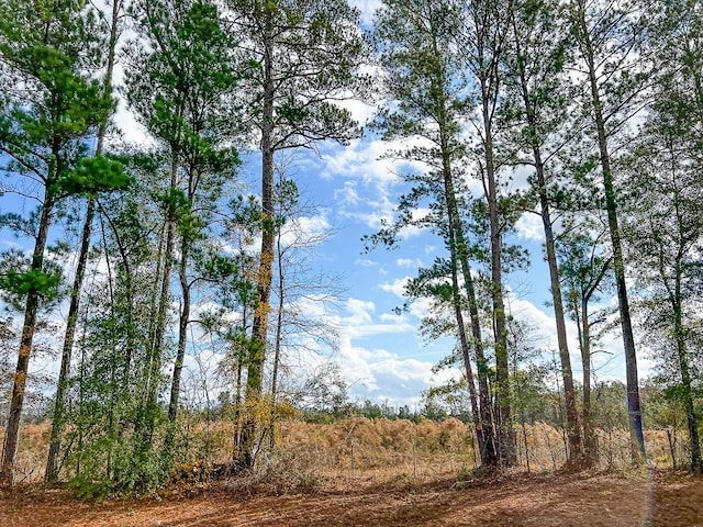 4 Fm 980, Oakhurst, TX 77359 - photo 4