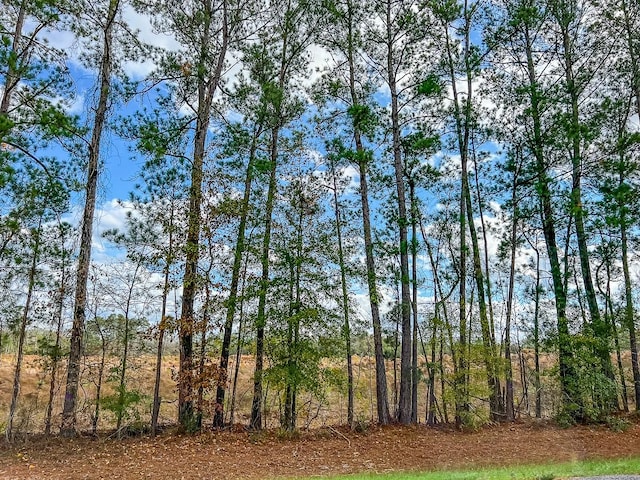 4 Fm 980, Oakhurst, TX 77359 - photo 5