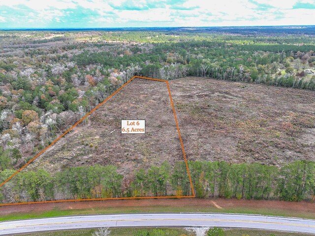 1 Old Staley Rd, Oakhurst, TX 77359 - photo 4