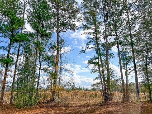 1 Old Staley Rd, Oakhurst, TX 77359 - photo 5