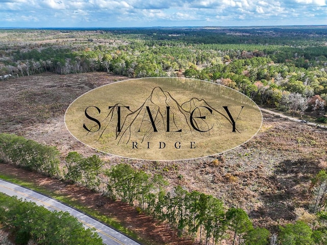 1 Old Staley Rd, Oakhurst, TX 77359 - photo 1