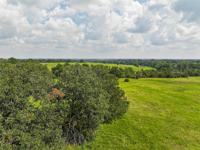 4391 Lynn Rd, Chappell Hill, TX 77426 - photo 8