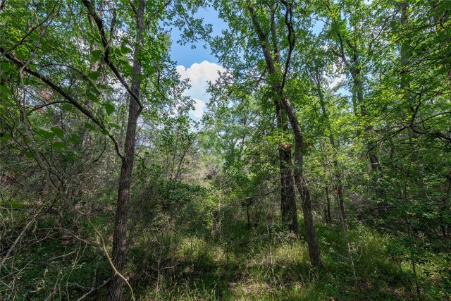 4391 Lynn Rd, Chappell Hill, TX 77426 - photo 9