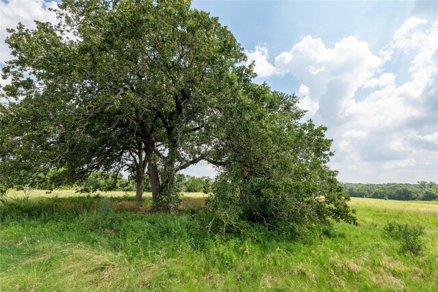 4391 Lynn Rd, Chappell Hill, TX 77426 - photo 1