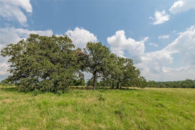 4391 Lynn Rd, Chappell Hill, TX 77426 - photo 10