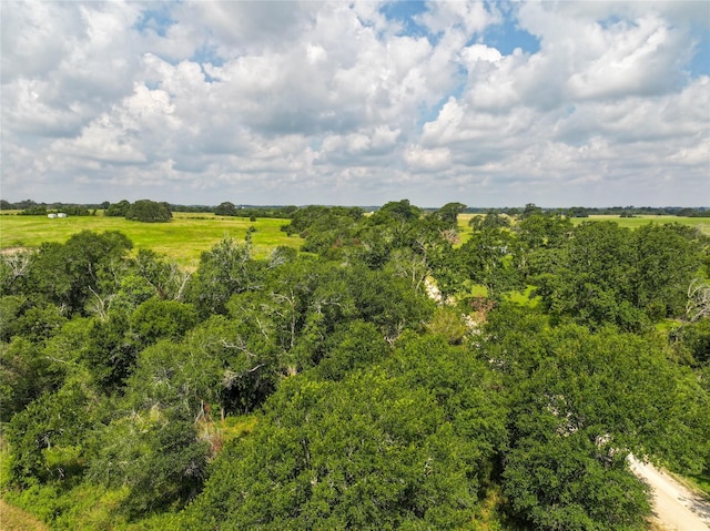 4391 Lynn Rd, Chappell Hill, TX 77426 - photo 15