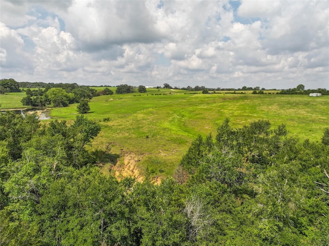 4391 Lynn Rd, Chappell Hill, TX 77426 - photo 16
