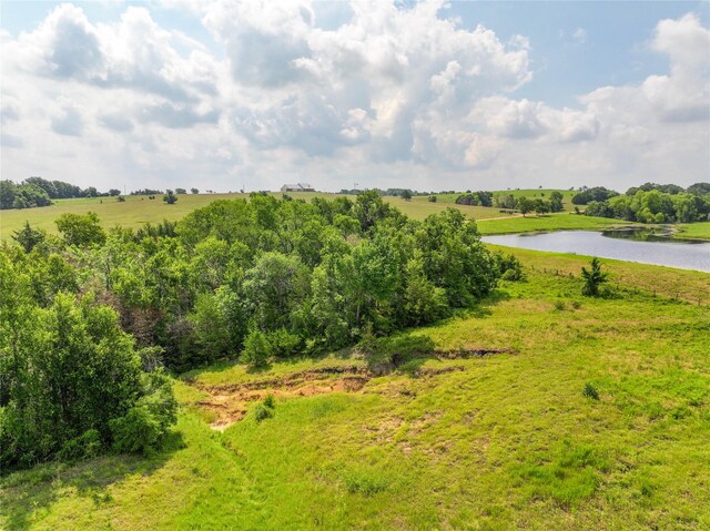 4391 Lynn Rd, Chappell Hill, TX 77426 - photo 7