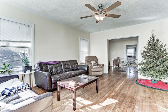 living room featuring hardwood / wood-style floors, ceiling fan, and a textured ceiling