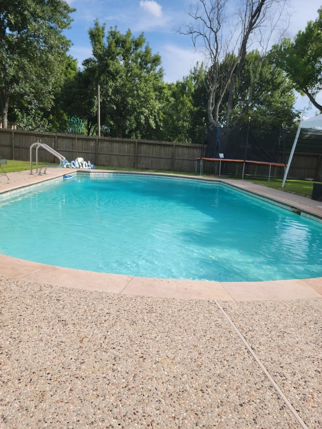 view of swimming pool with a trampoline and a patio area