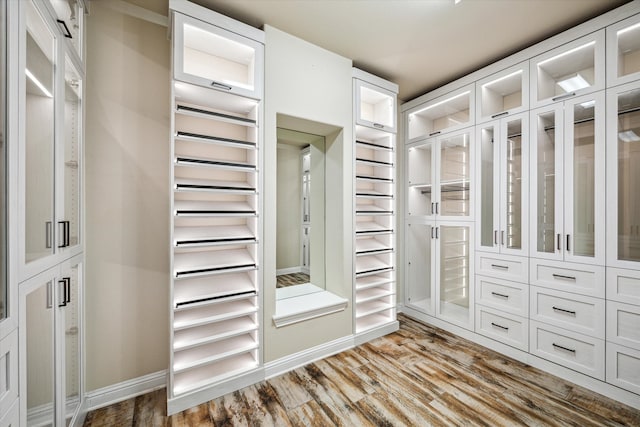 spacious closet featuring wood-type flooring