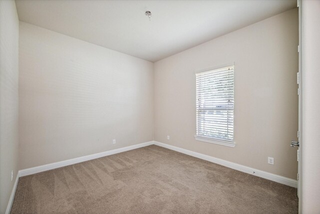 spare room featuring carpet floors