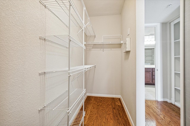 spacious closet with hardwood / wood-style flooring