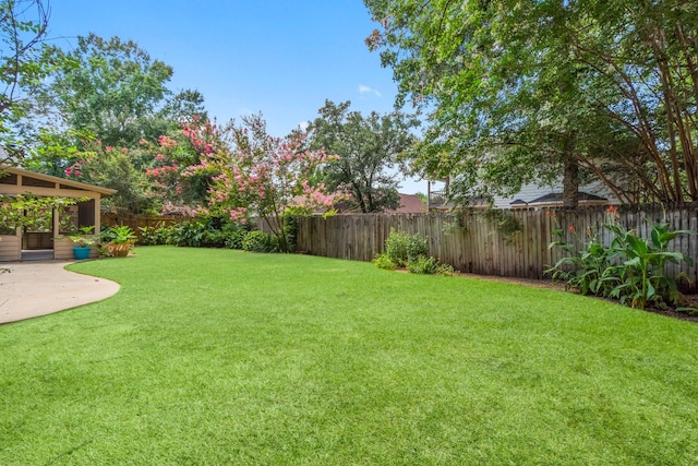 view of yard featuring a patio area