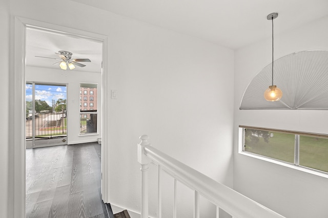 hall with hardwood / wood-style flooring and a healthy amount of sunlight