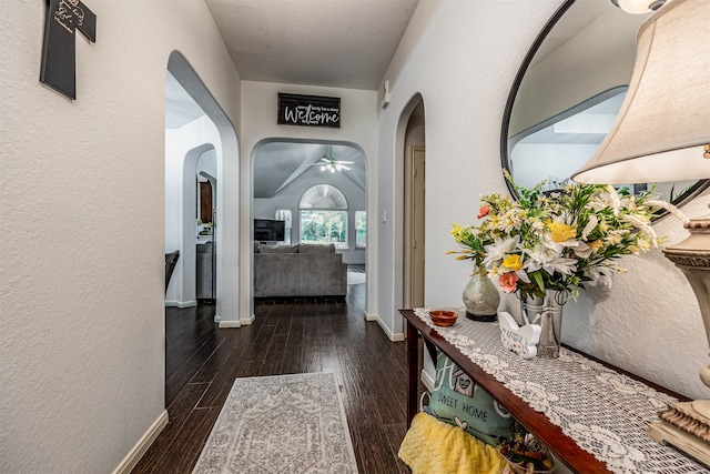 corridor with dark hardwood / wood-style floors