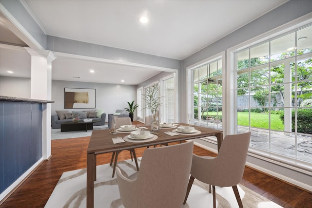 dining space with a wealth of natural light and dark hardwood / wood-style flooring