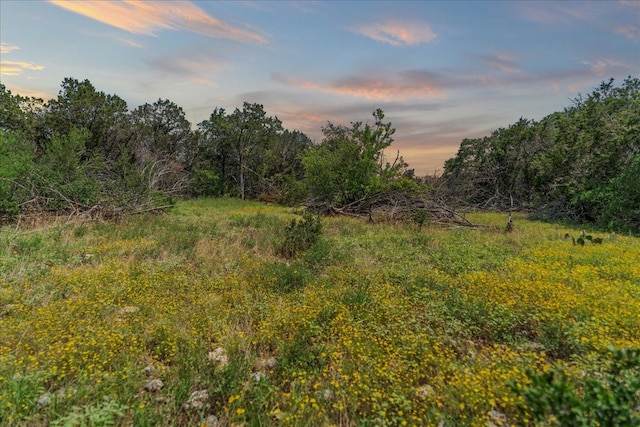 1001 Bluff View Rd, Wimberley TX, 78676 land for sale