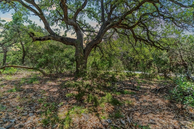 Listing photo 2 for 1001 Bluff View Rd, Wimberley TX 78676