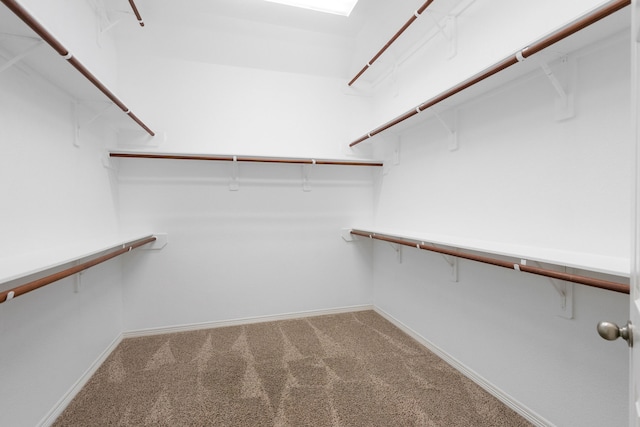 spacious closet featuring carpet floors