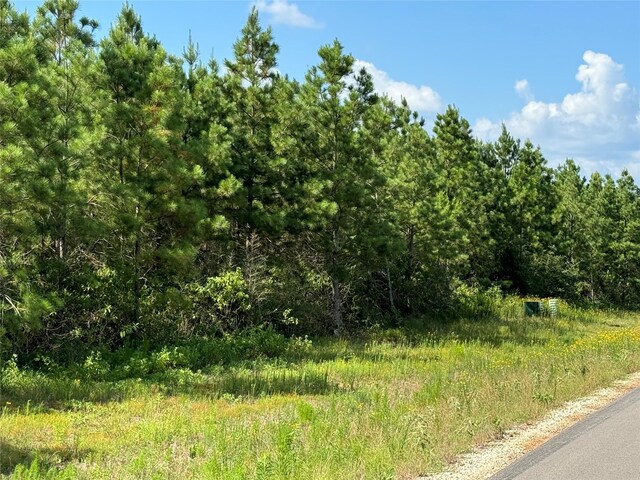 15727 Ridge Rock Rd, Willis, TX 77378 - photo 4