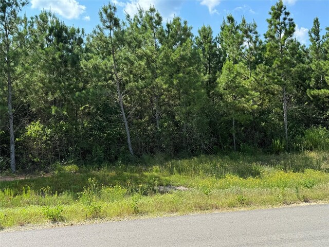 15727 Ridge Rock Rd, Willis, TX 77378 - photo 5