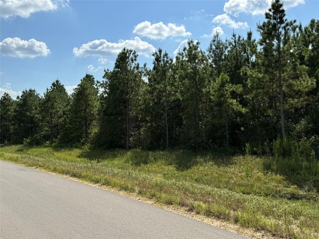 15727 Ridge Rock Rd, Willis, TX 77378 - photo 6