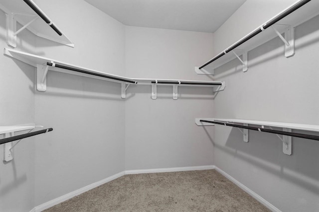 walk in closet featuring carpet