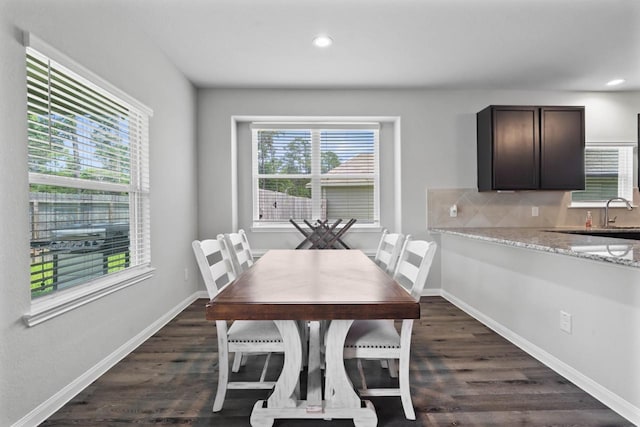 dining room with dark hardwood / wood-style flooring