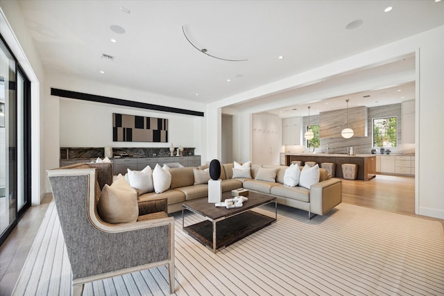 living room featuring light hardwood / wood-style floors