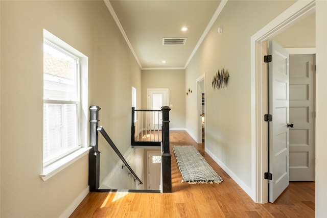 hallway featuring hardwood / wood-style flooring and crown molding