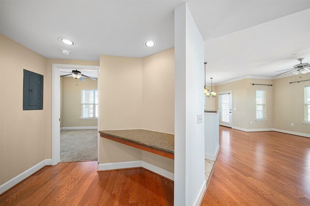 corridor with light hardwood / wood-style floors and plenty of natural light