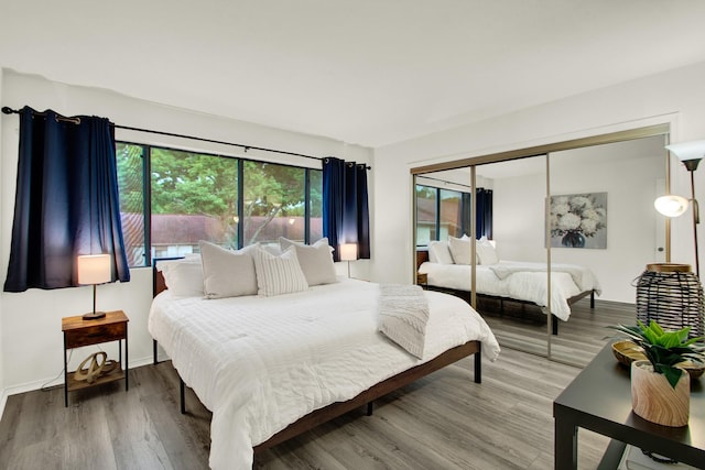 bedroom with hardwood / wood-style floors and a closet