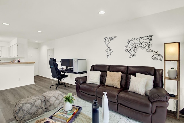 living room featuring wood-type flooring