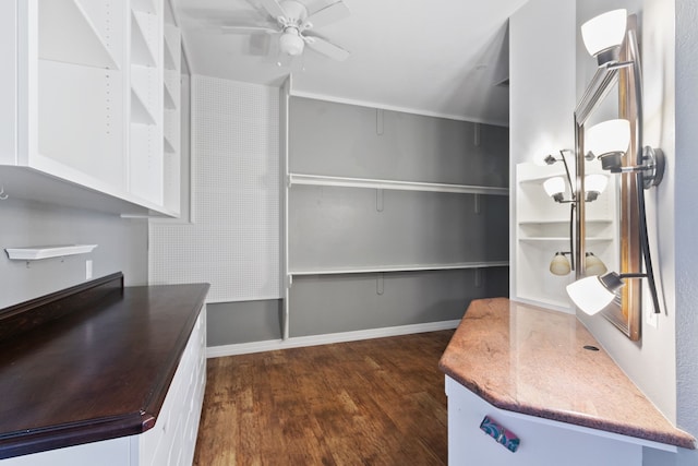 kitchen with ceiling fan and dark wood-type flooring