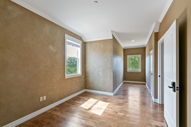 spare room with hardwood / wood-style floors and ornamental molding