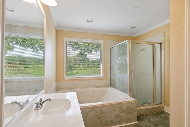 bathroom with ornamental molding, plus walk in shower, and vanity