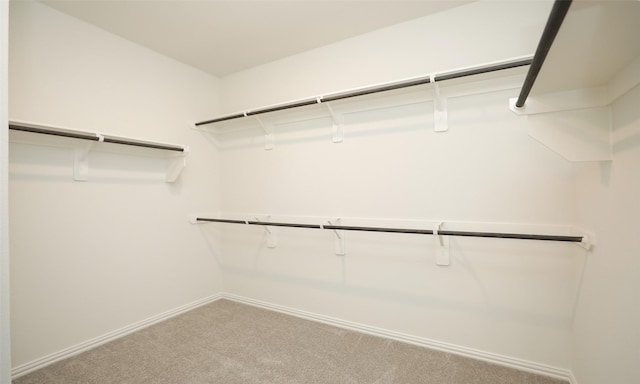 walk in closet featuring carpet flooring