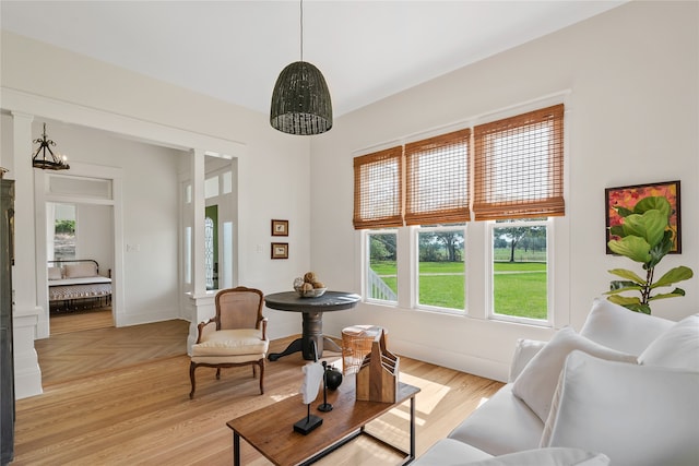 living room featuring light hardwood / wood-style floors and a healthy amount of sunlight