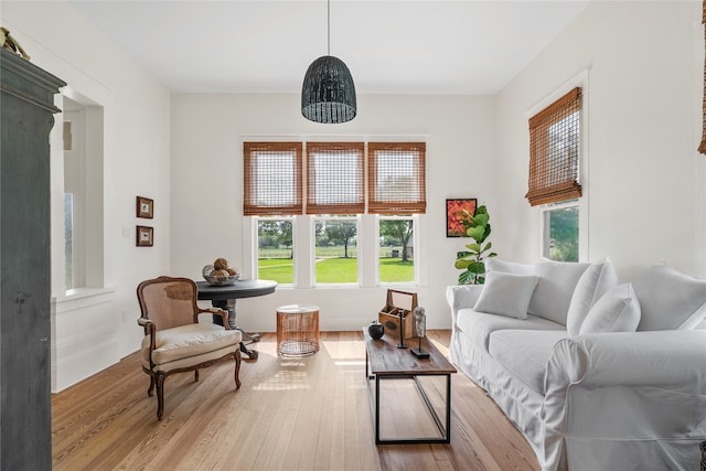 living room featuring light hardwood / wood-style flooring and plenty of natural light