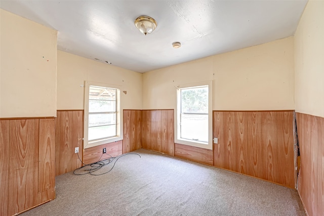 carpeted spare room featuring a wealth of natural light