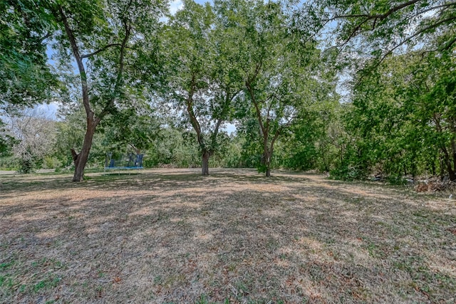 view of yard with a trampoline