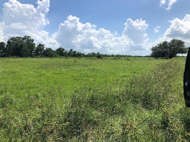 Listing photo 3 for TBD County Road 182, Raywood TX 77582